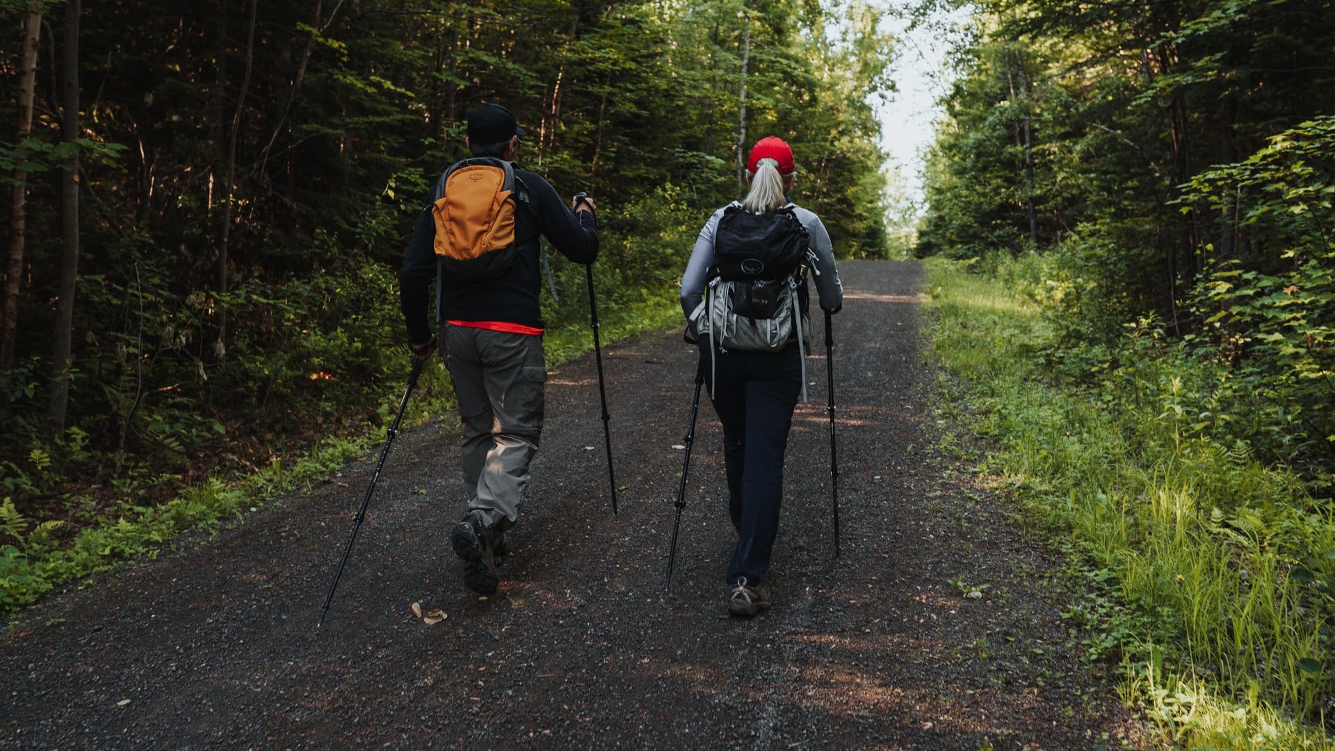 People walking along a trail with walking poles